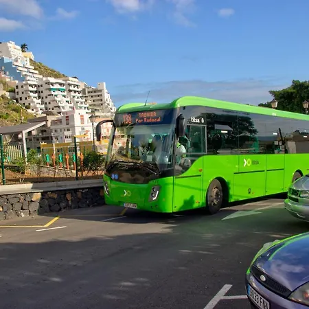 Tenerife-tabaiba Табайба